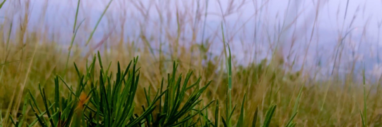 2055555To's profile banner image