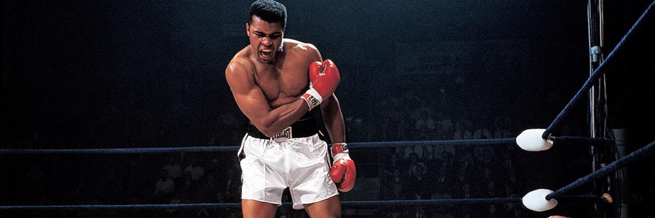 Jared Buckley banner