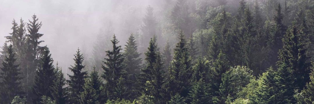 Kishansing_'s profile banner image