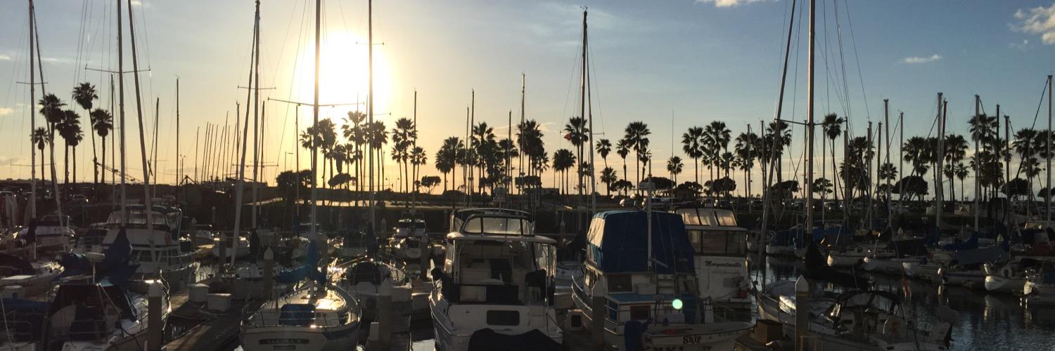 Beachquack's profile banner image