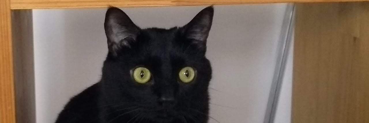oskar1978's profile banner image