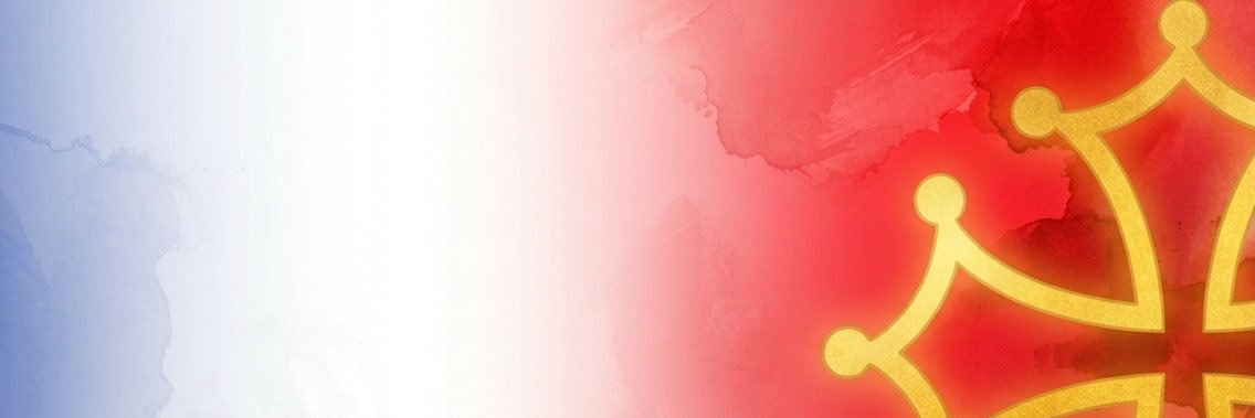 LionelDomingos's profile banner image