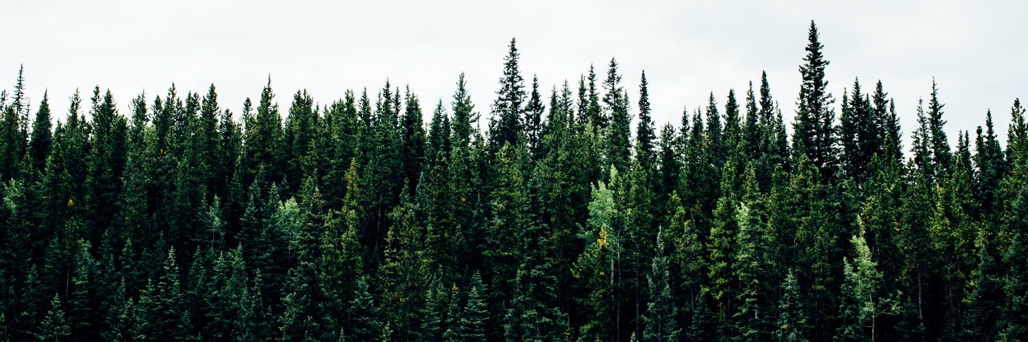 Zack Wu banner
