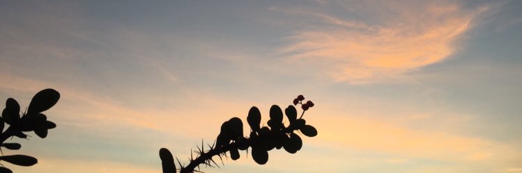 marshasyf's profile banner image