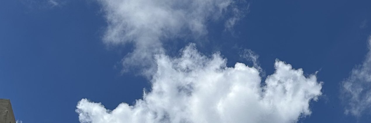 manuelobo01's profile banner image