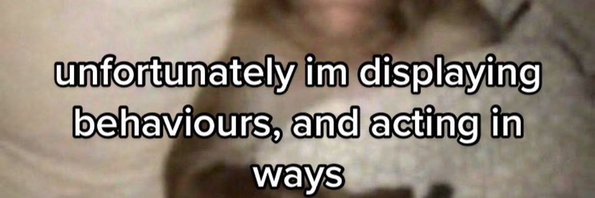krissy banner