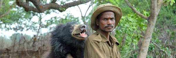 ABearOnABike Profile Banner