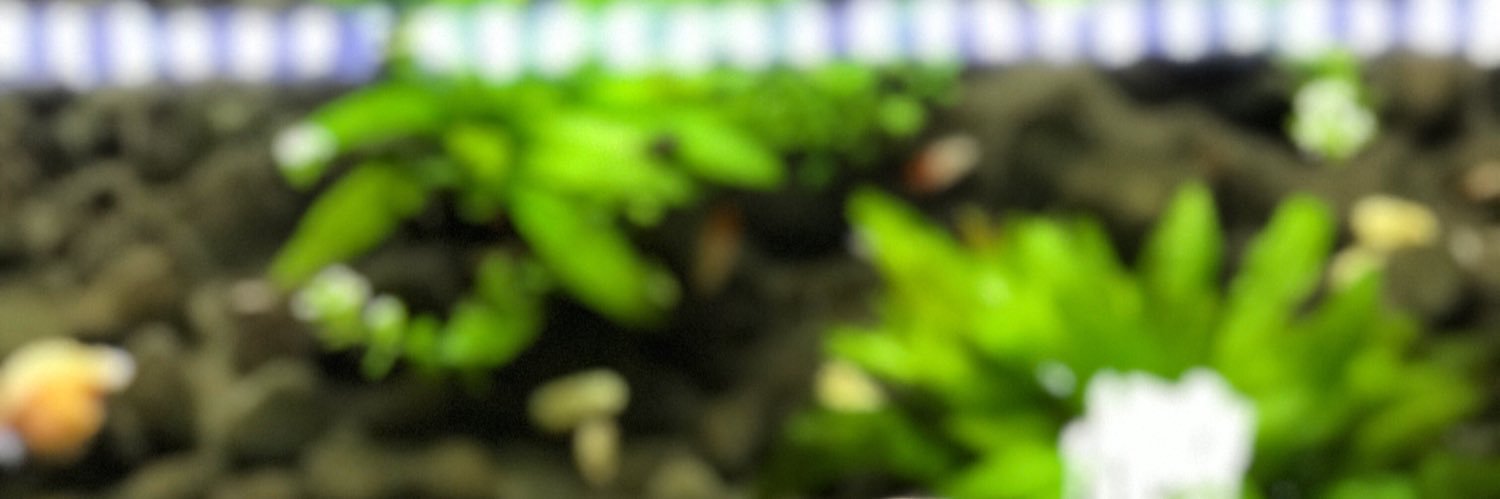 arorazaldi's profile banner image