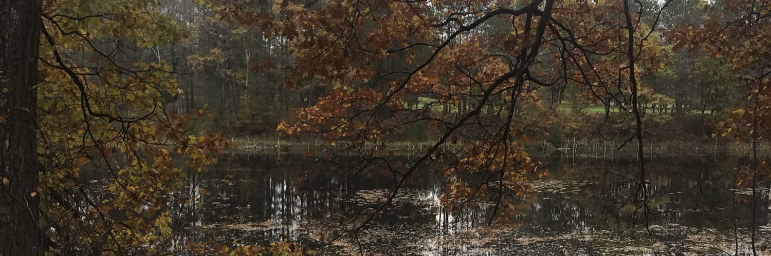 Emma_K213's profile banner image