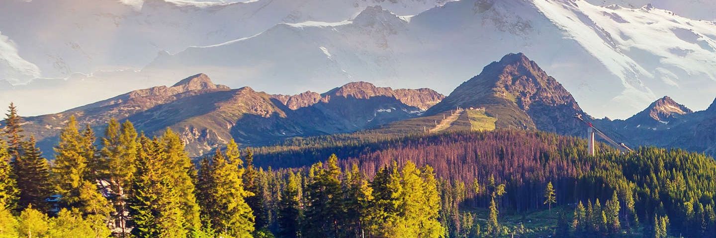 Paitosami's profile banner image