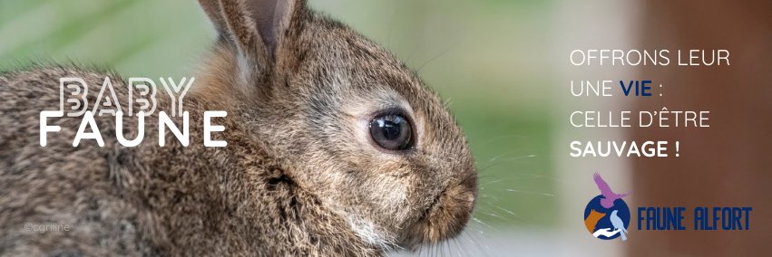 Faune Alfort banner