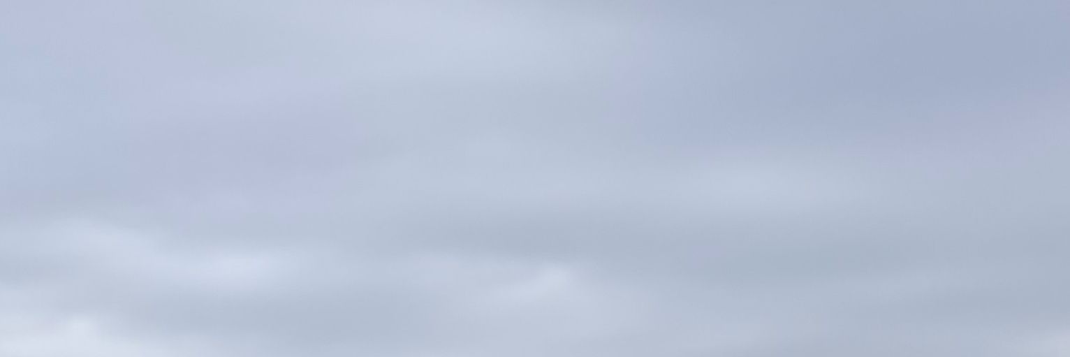 🍪 banner