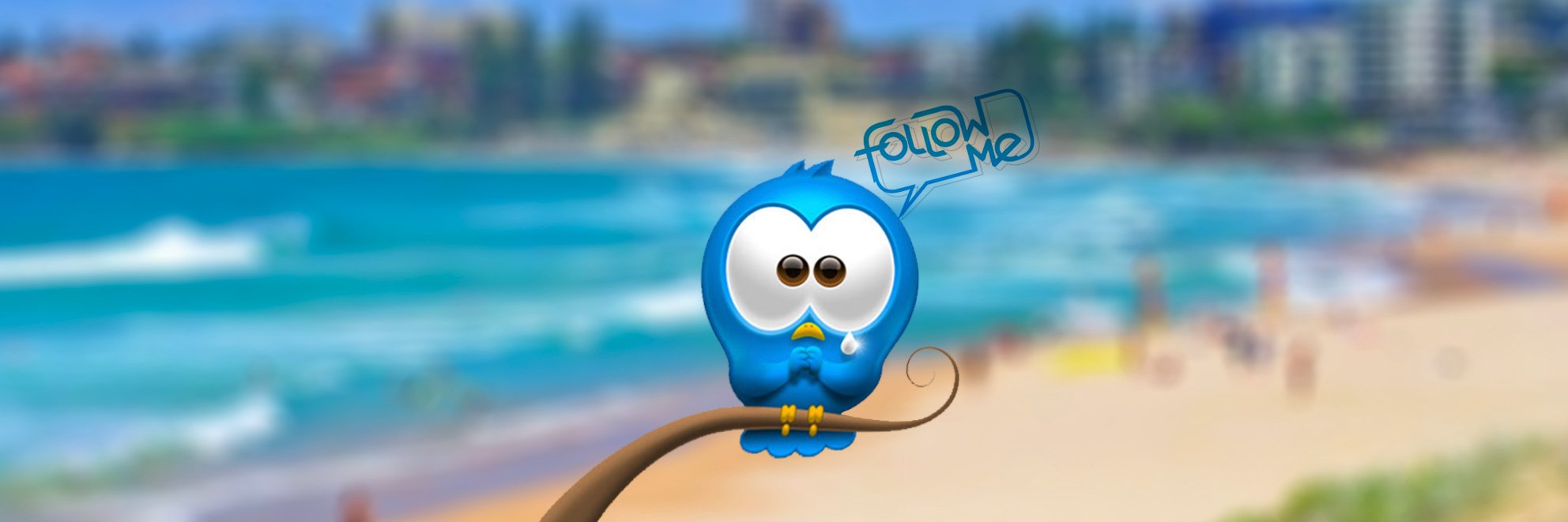 Cronulla High School banner