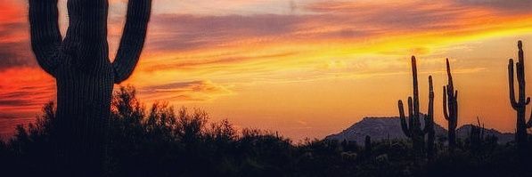 Claudine Grippo banner