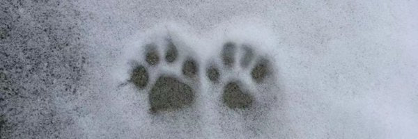 福建投稿（互fo互赞） banner