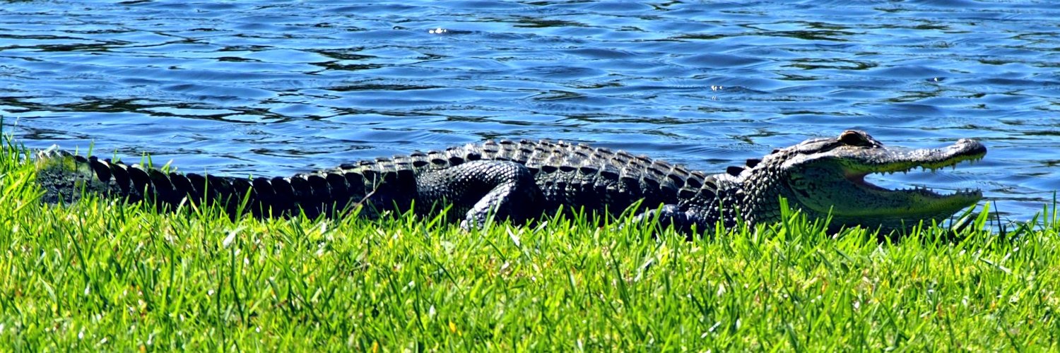 Just Call Me Jake banner