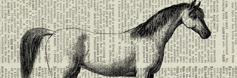 Alexa Solagui banner