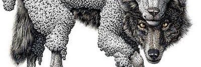 dr santi ™️ banner
