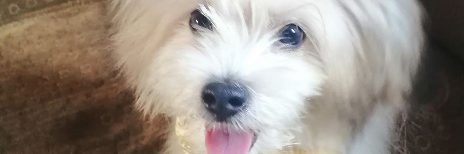 wgreatest's profile banner image