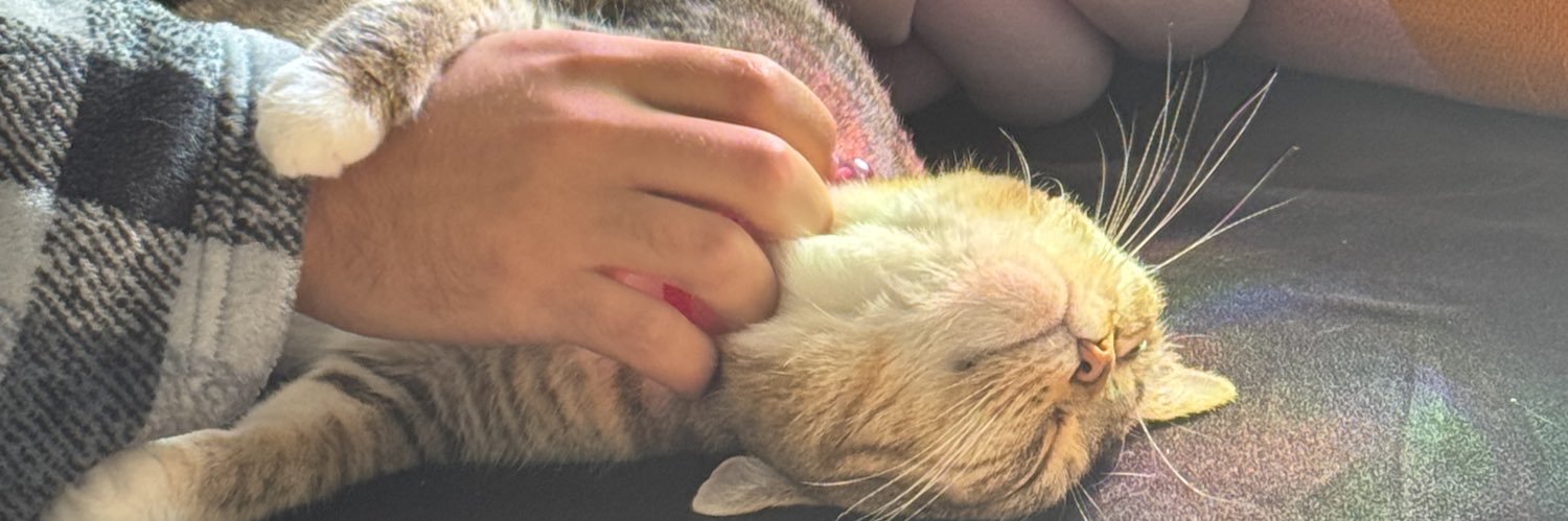 cinnabarcin's profile banner image