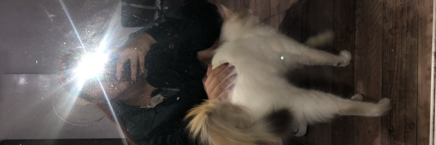 Valendelblanco1's profile banner image