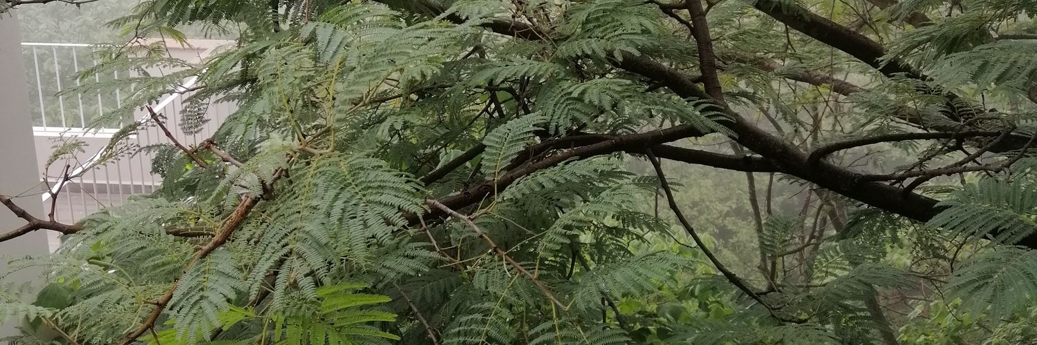 Igrajeda's profile banner image