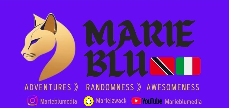 Marieblumedia's profile banner image