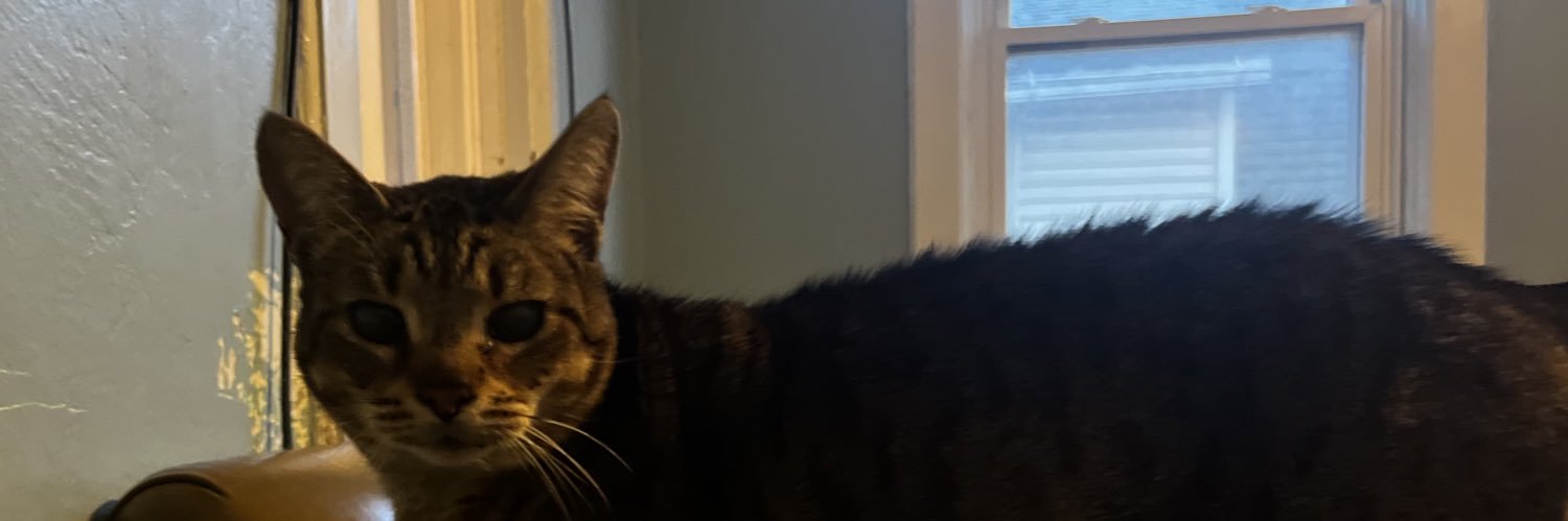 basssquink's profile banner image
