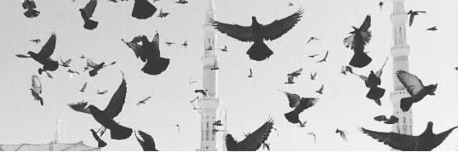 jo0o135's profile banner image