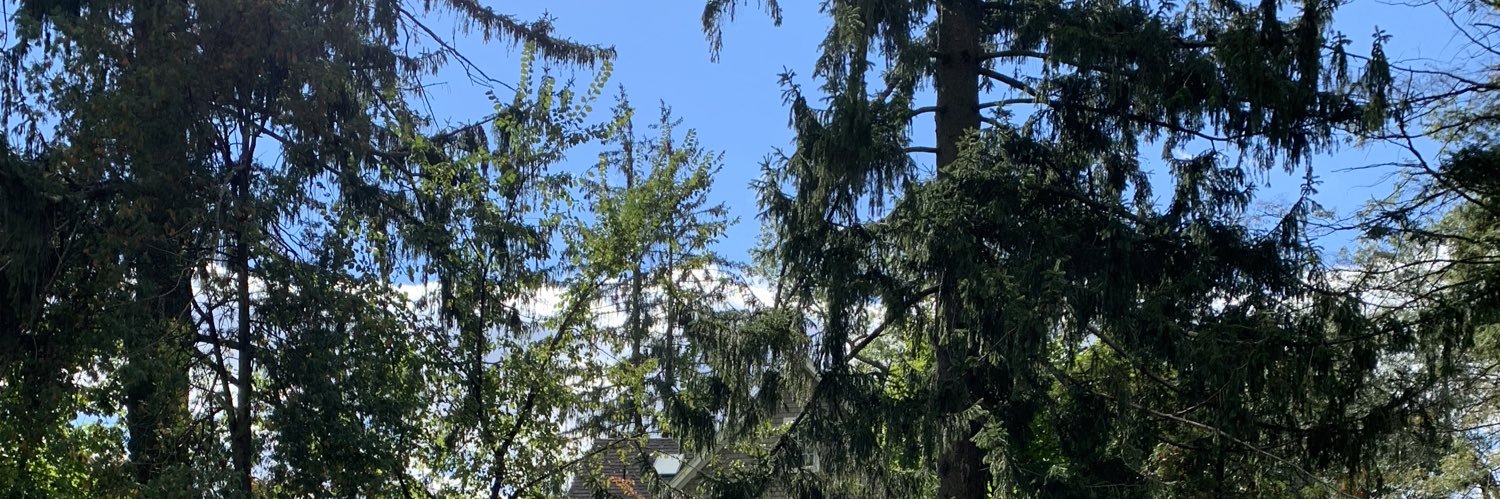 Erica B, MBA, is vaxxed! 🇺🇦 Stand With UKR 🇺🇦 banner