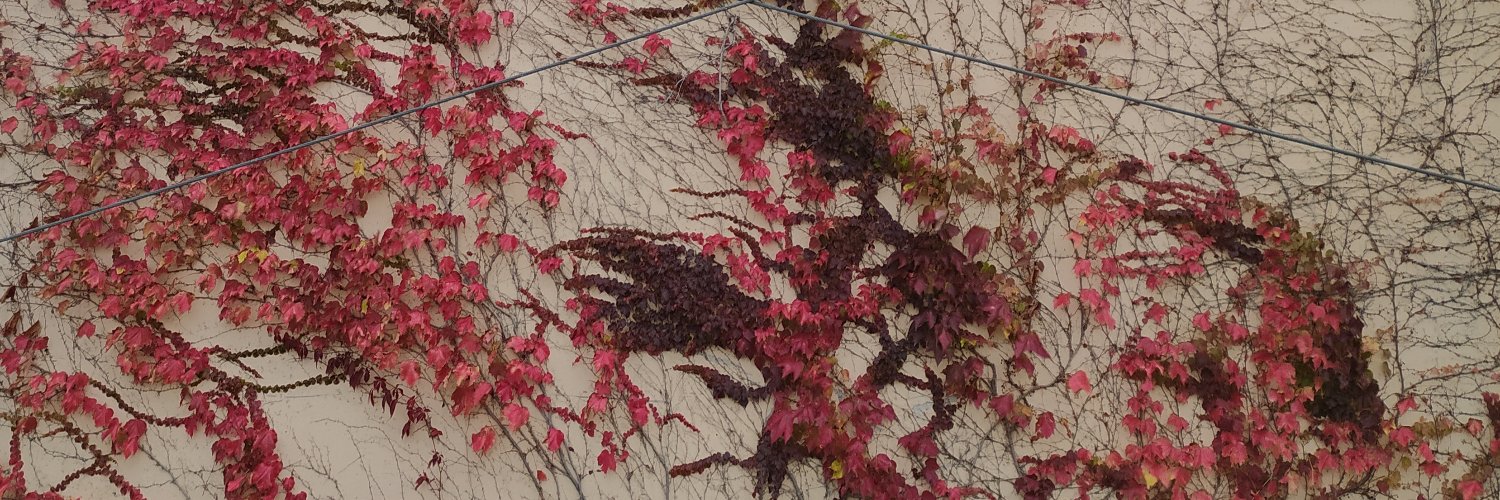 TabaneraL's profile banner image