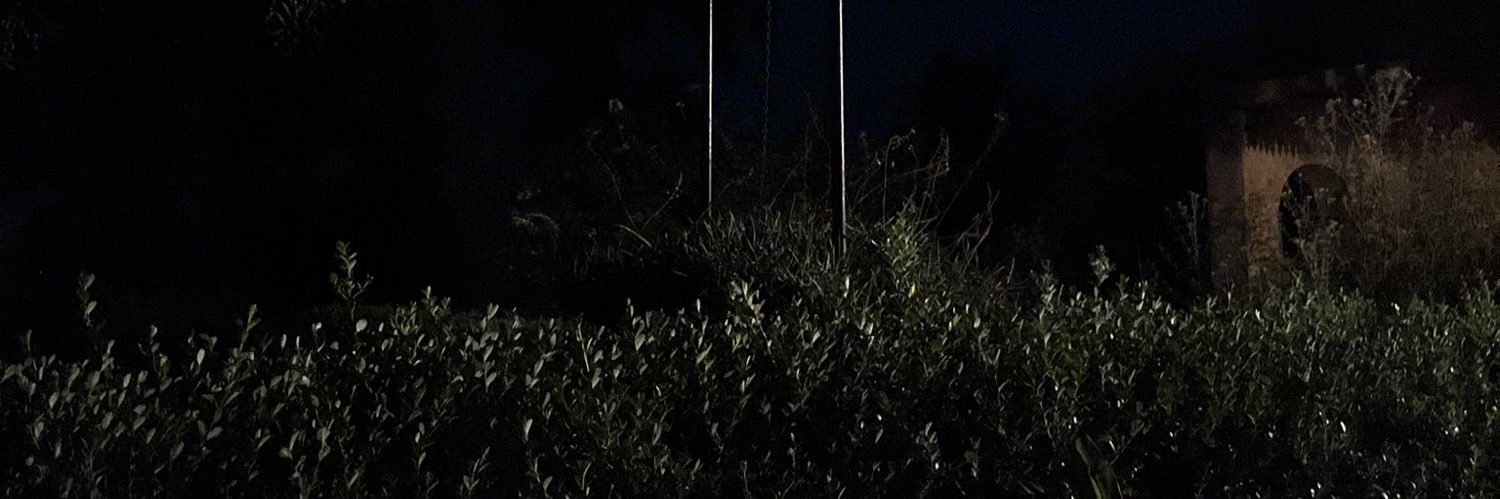 alejandra banner