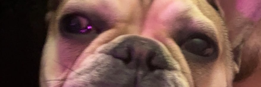 daisyyyylane's profile banner image