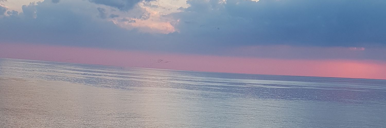 leila margan (مرگن)'s banner