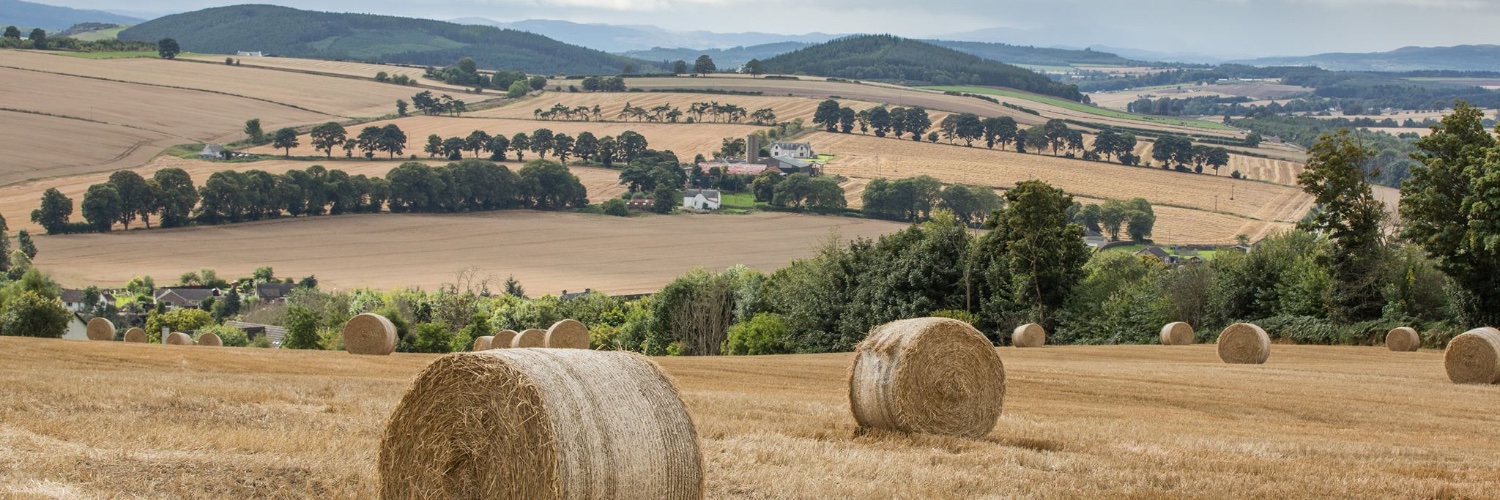 Ledingham Chalmers banner