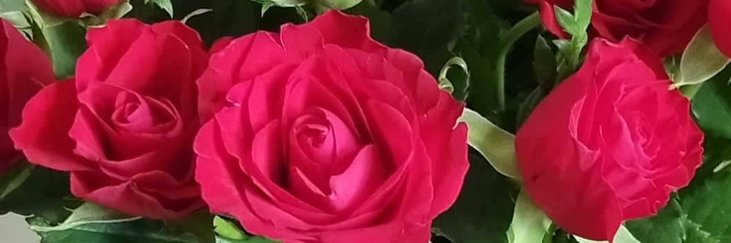 Agnese_Pr's profile banner image