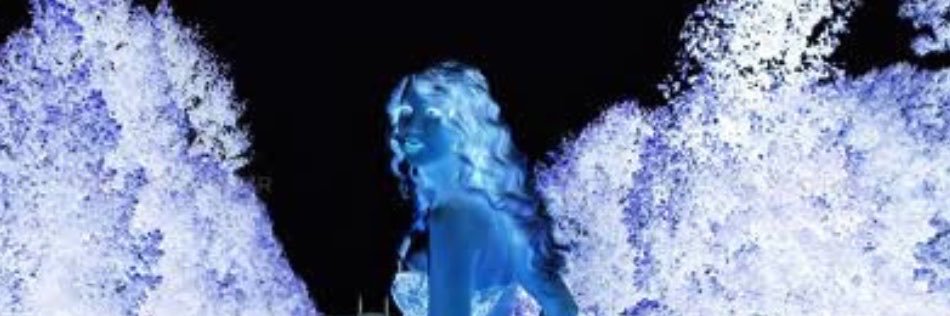 enchantedwildly's profile banner image