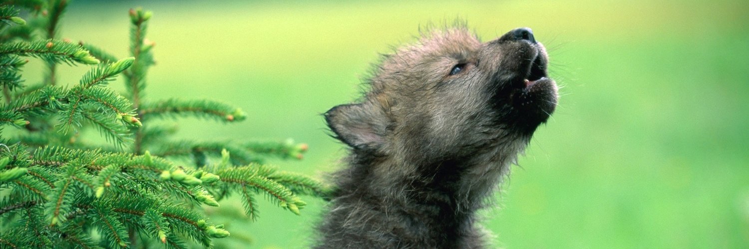 Владимир banner