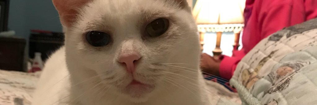 jennaafer95's profile banner image