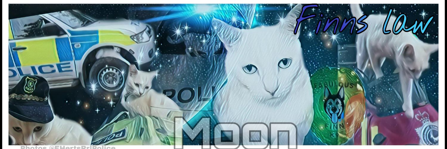 mooncat999's profile banner image