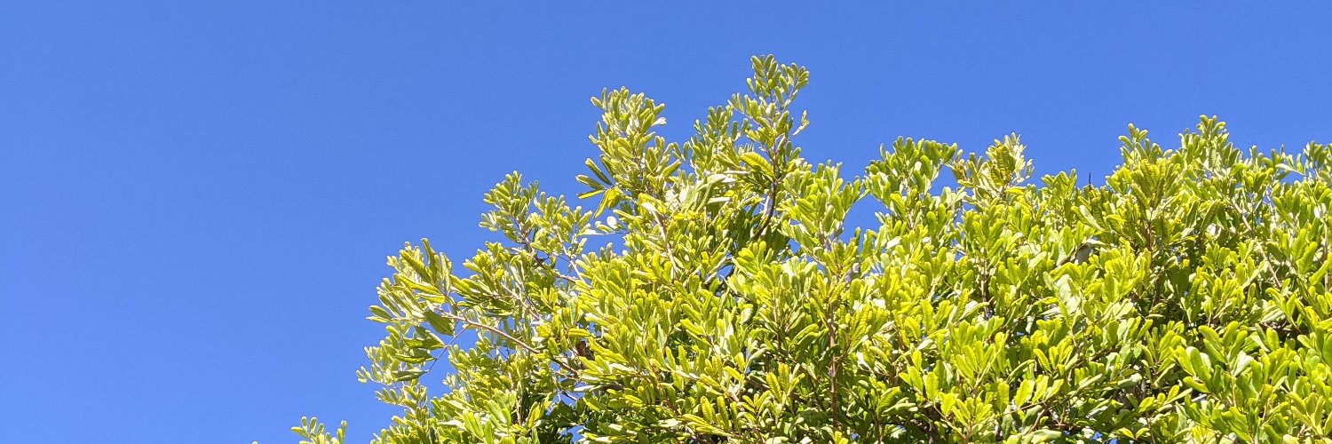 why am i here banner