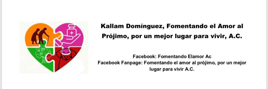 LKR Domínguez A banner