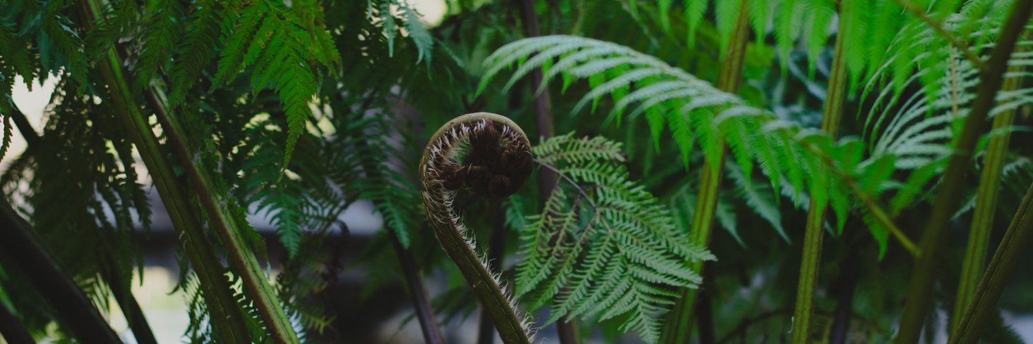 hmac's profile banner image