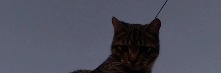 OrmacheeA's profile banner image
