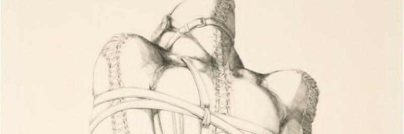 Hyen banner