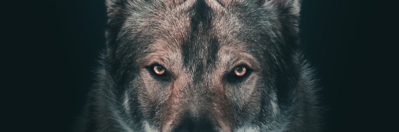 ⚜️The Willcronous⚜️ banner