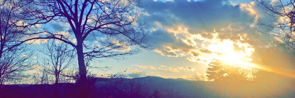 SadieBooo's profile banner image