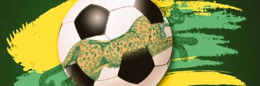 zahigue's profile banner image