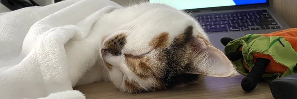 _Yi_Yang Profile Banner
