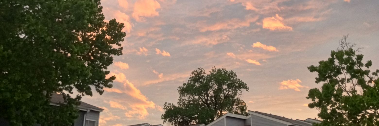 🏳️‍⚧️ Skylar the Dragoness 🏳️‍⚧️ banner